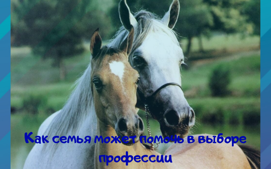 Как семья может помочь в выборе профессии
