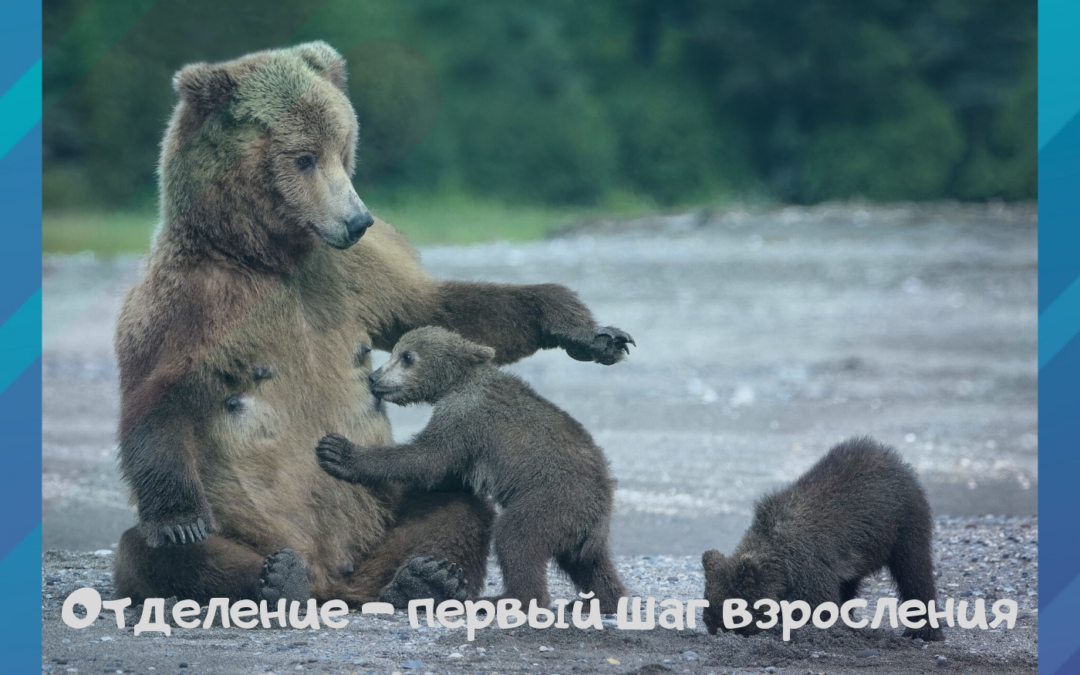 Отделение — первый шаг взросления